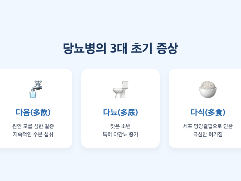 당뇨의 3대 주요 증상 인포그래픽