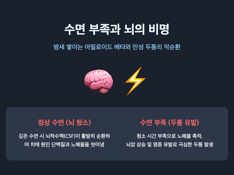뇌 청소 시스템