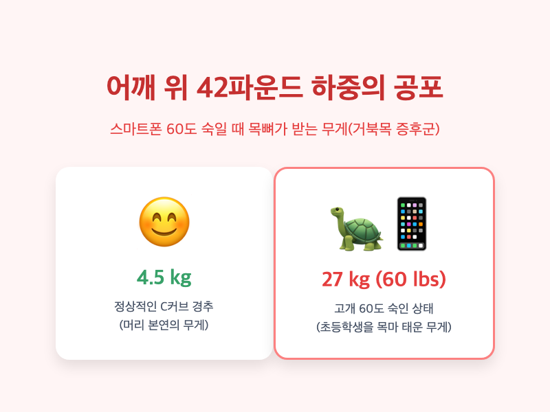 거북목 하중의 과학적 원리